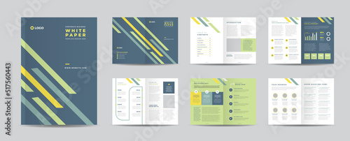 Business White Paper and Company internal document design or Brochure Design