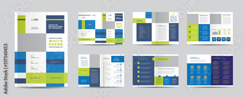 Business White Paper and Company internal document design or Brochure Design