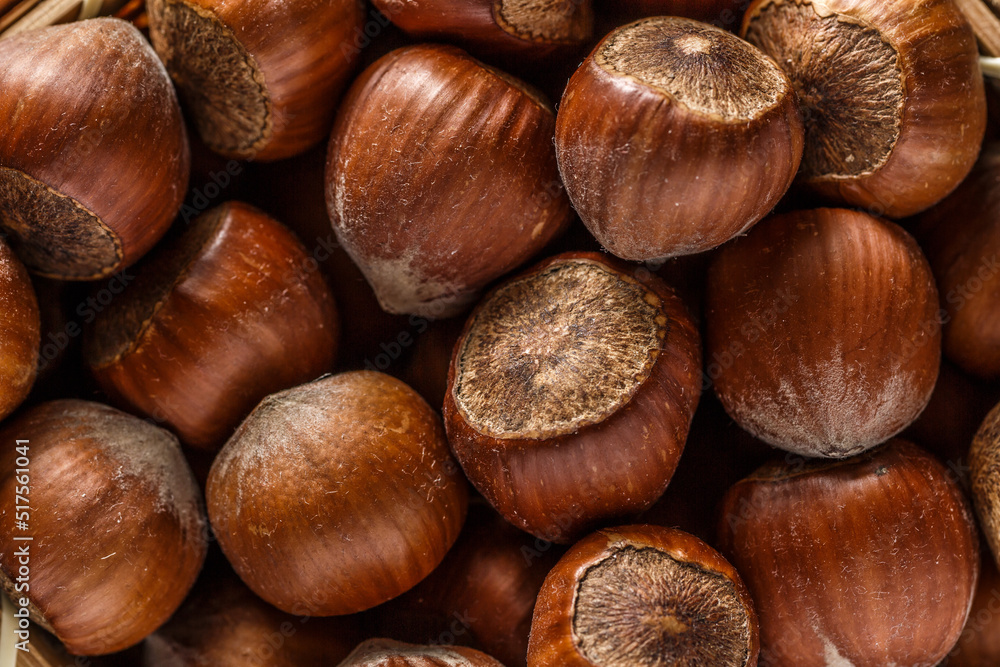 Macro photo Hazelnut nuts. Photo nature food Hazelnut nuts in shell.Turkish hazelnuts. organic natural food. nuts vertical framing. food photos Macro photo Hazelnut nuts. Photo nature food Hazelnut nuts in shell.Turkish hazelnuts. organic natural food. nuts vertical framing. food photos
