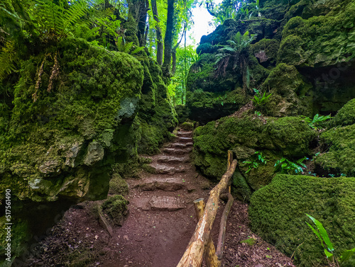 Puzzlewood, an ancient woodland near Coleford in the Royal Forest of Dean, Gloucestershire, UK. photo