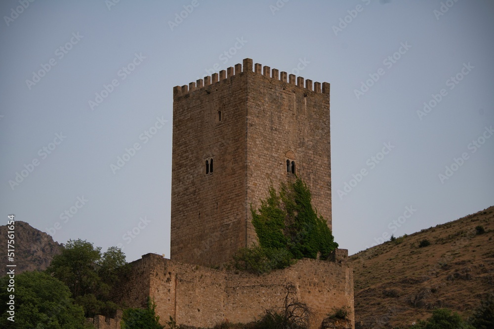 La Yedra Castle Tower