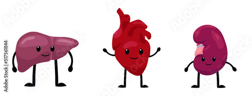 Funny human organs on white background