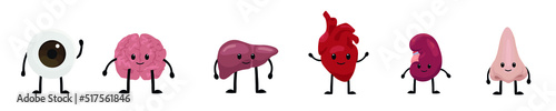 Funny human organs on white background