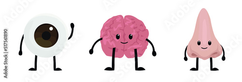 Funny human organs on white background