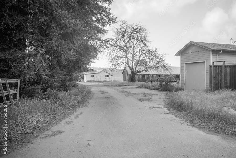 A view of American's neighborhood farm A view of American's neighborhood farm