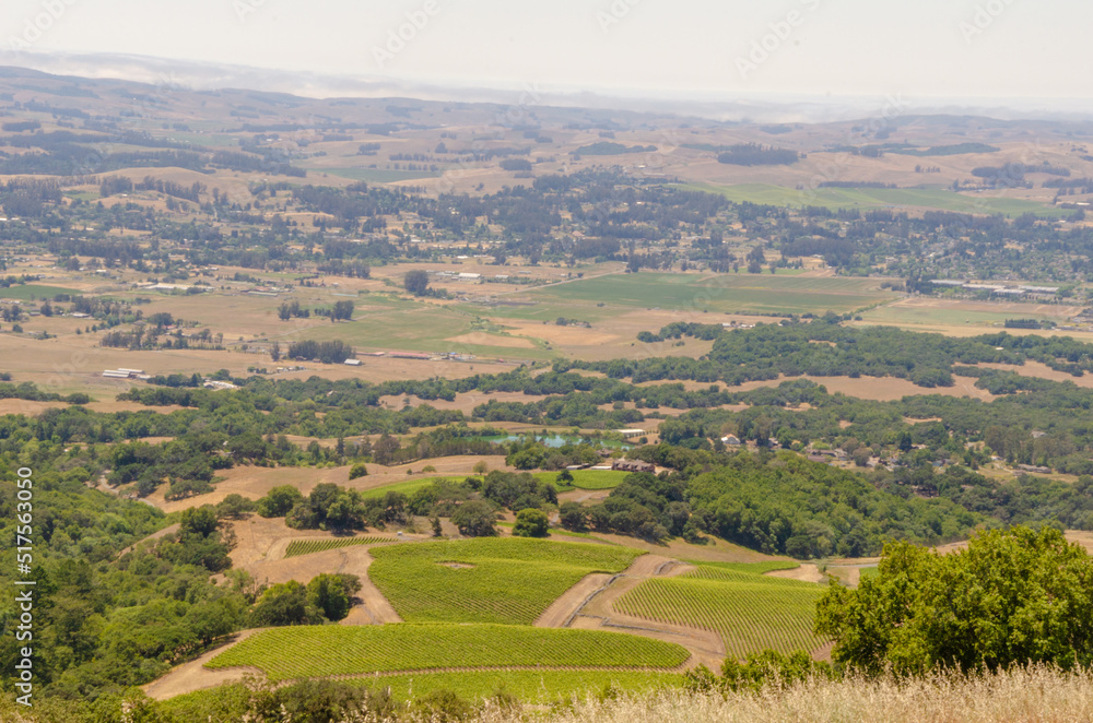 A view of American's neighborhood farm Petaluma, CA