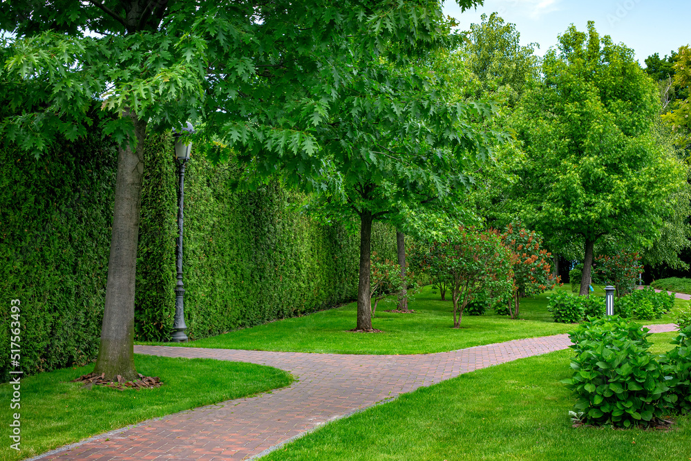 Obraz premium stone tile walkway curve arcing in the park among green plants of evergreen thuja hedges and mulching trees with deciduous bushes and iron ground garden lantern and retro pillar lighting, nobody.