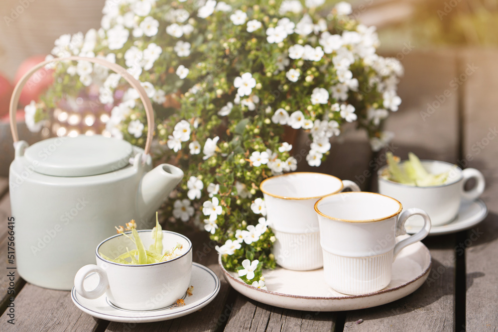 linden tea and porcelain teapot in the sunlight, summer tea party with flowers in the garden linden tea and porcelain teapot in the sunlight, summer tea party with flowers in the garden