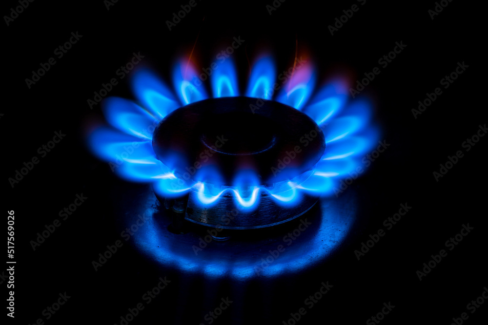 Gas cooktop burning gas stove with blue flame Gas cooktop burning gas stove with blue flame
