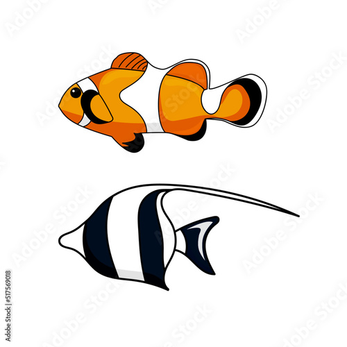 Nemo fish on isolated white background. 