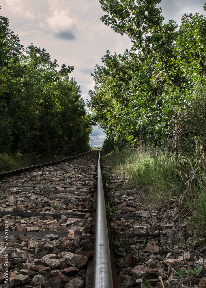 Fototapeta premium Vias