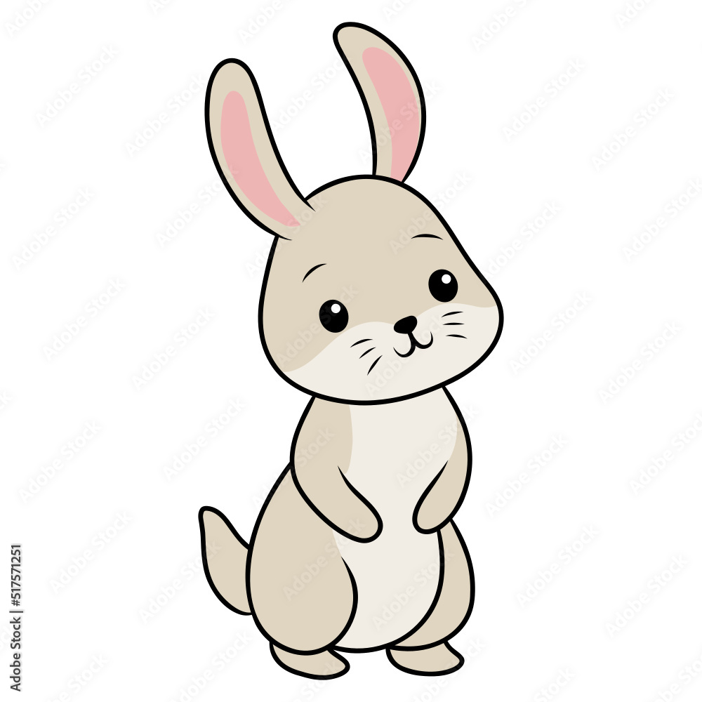 rabbit pet animal