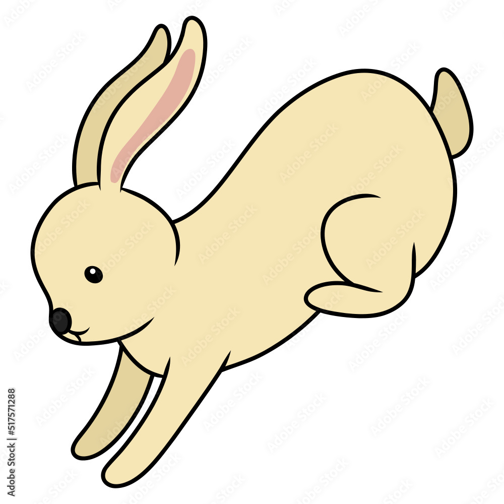 rabbit jump rabbit jump