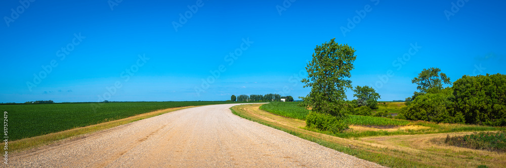 Curving dirt road and horizon over the corn field and Red River riverbank forest in North Dakota.