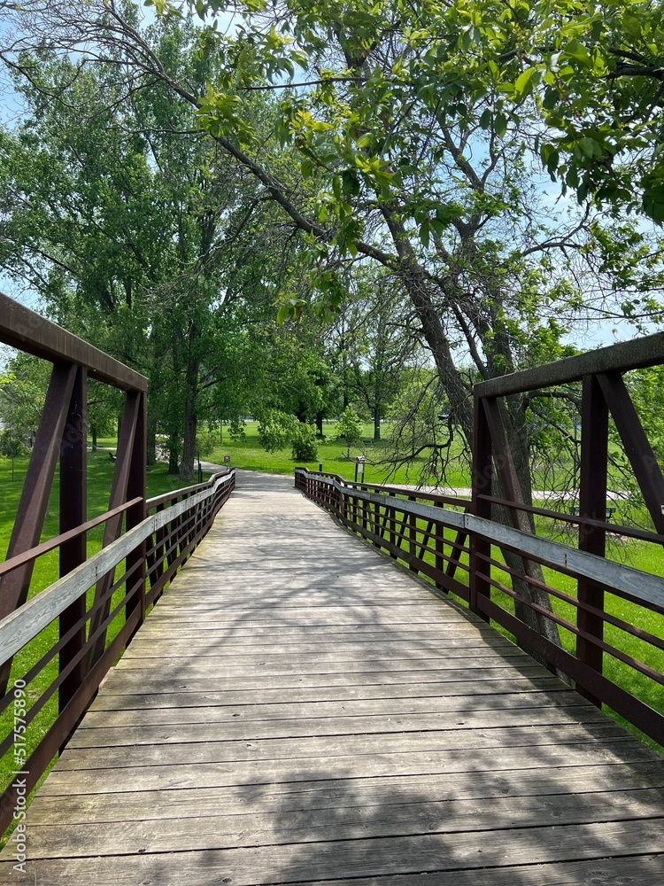 wooden bridge in the park