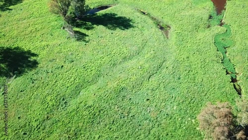 Aerial view over the Mitta Mitta River as it winds its way through flood plains towards Lake Hume, in north-east Victoria, Australia. November 2021. photo