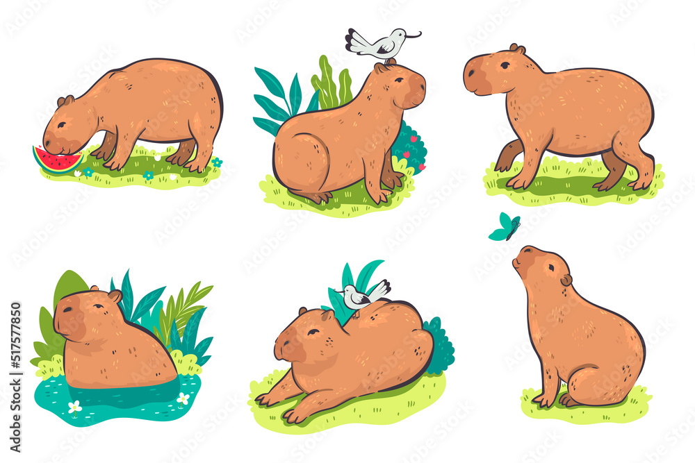 Set of cute capybaras isolated on white background. Vector graphics.
