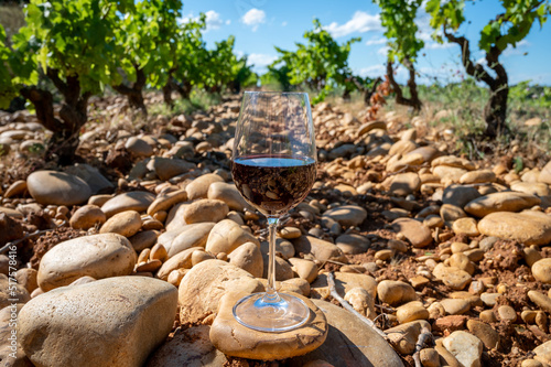 Glass of red dry wine and large pebbles galets and sandstone clay soils on vineyards in Châteauneuf-du-Pape ancient wine making village in France photo