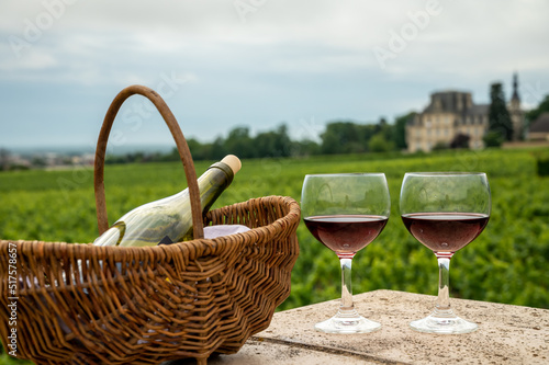 Tasting of red dry pinot noir wine in glass on premier and grand cru vineyards in Burgundy wine making region near Vosne-Romanée village, France photo