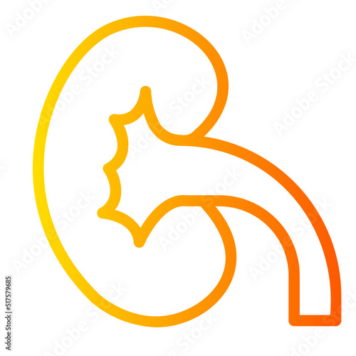 kidneys gradient icon