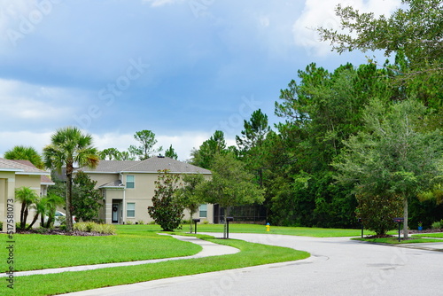 The landscape in New Tampa area, Florida 