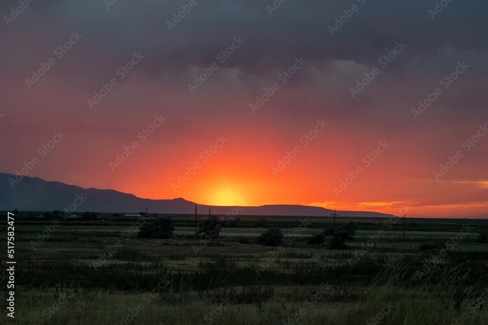 Obraz premium sunset over the field