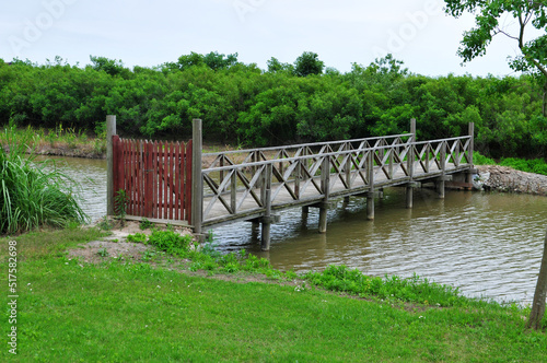 a small wooden bridge over a river in the wild and plants on the shore