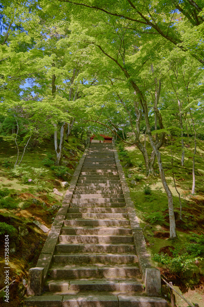 Stone stairs, 石の階段