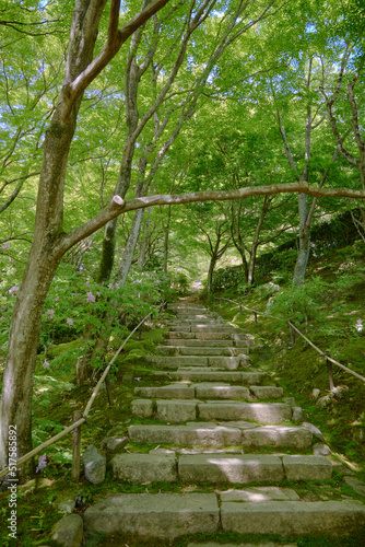 Stone stairs              