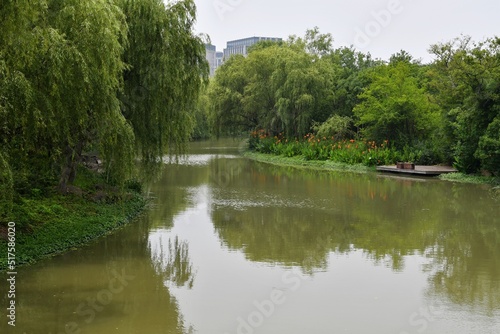 a river in the wild and plants on its banks