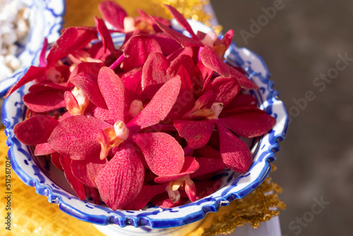 Red orchid flowers in a container for worshiping the gods.
