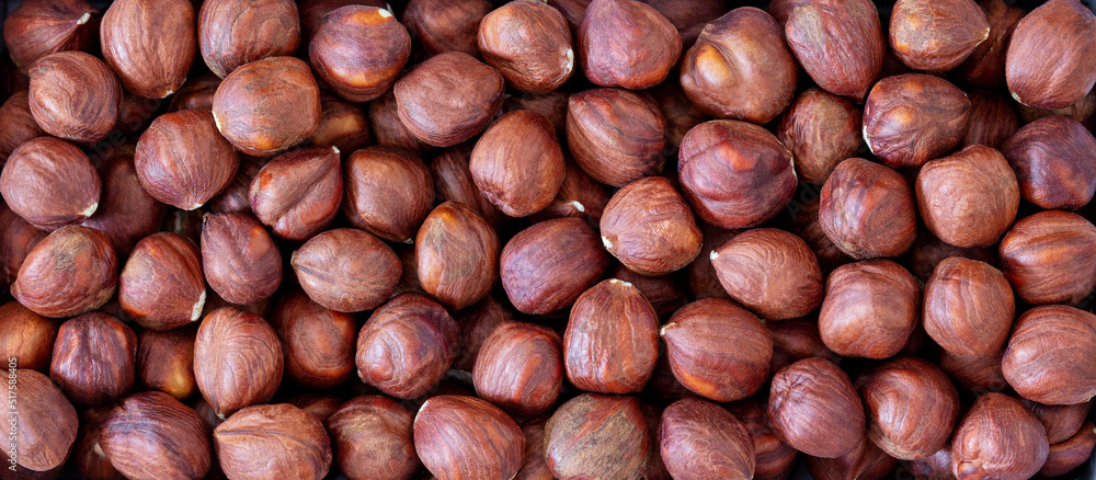 Pile of hazelnut kernels, close-up, top view, macro. Pile of hazelnut kernels, close-up, top view, macro.