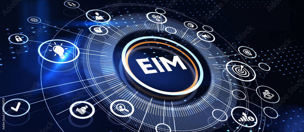 EIM Enterprise information management system. 3d illustration EIM Enterprise information management system. 3d illustration