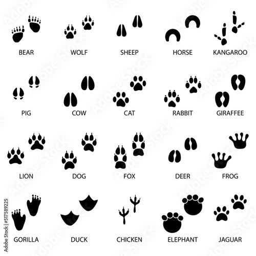 black animal tracks icons. Animal feet silhouette. Vector illustration. Stock image. 
