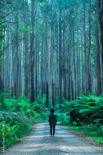 walking in the woods