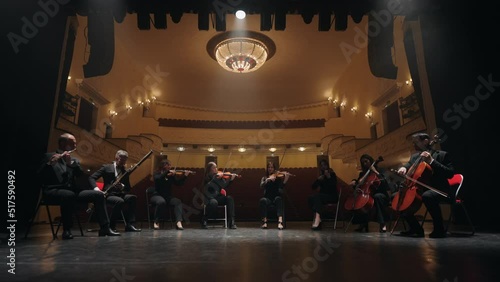 violinists, violoncellists, bassoonist and flutist are playing classic or neo classical music in philharmonic hall