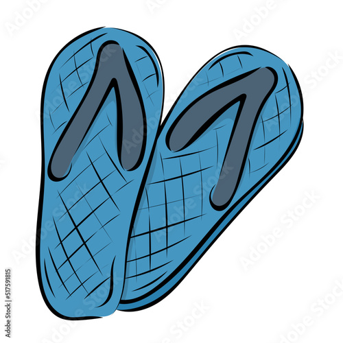 Flip Flops