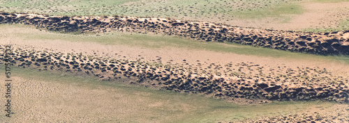 Namibia, aerial view of the Namib desert, wild landscape, panorama in rain season
