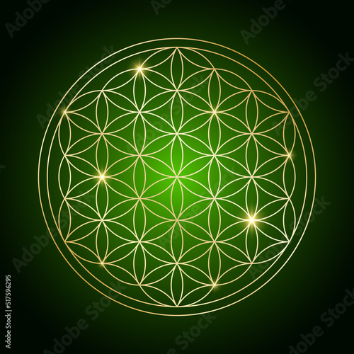 Esoteric Flower Of Life symbol. Vector illustration