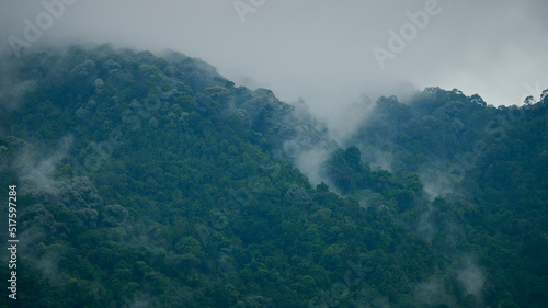 Landscape view of mountain covered in mist