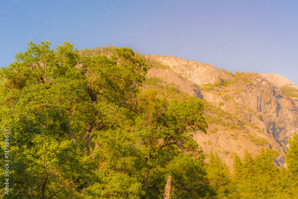 Obraz premium Yosemite National Park is in California’s Sierra Nevada mountains. It’s famed for its giant, ancient sequoia trees, and for Tunnel View, the iconic vista, Upper Yosemite Falls, Yosemite National Park
