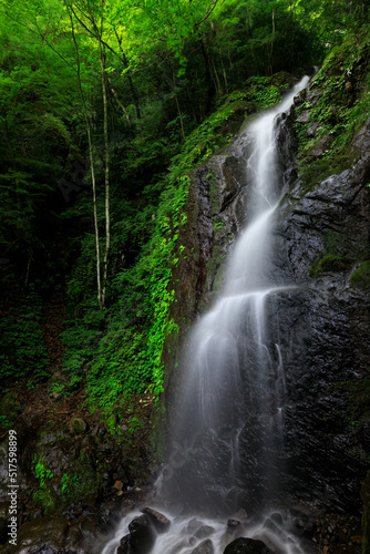 新緑の滝 © 鉄朗 廣田