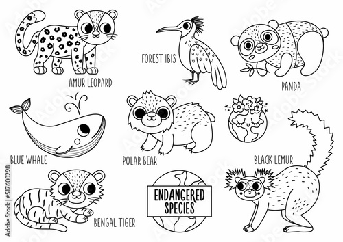 Vector black and white endangered species set. Cute line extinct animals collection. Funny illustration for kids with amur leopard, blue whale, black lemur. Nature protection coloring page.