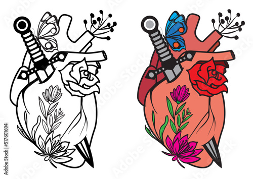 The human heart and roses are pierced with a dagger and butterfly on white background. Vector illustration