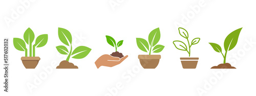 Sprout plant icon set design template vector illustration