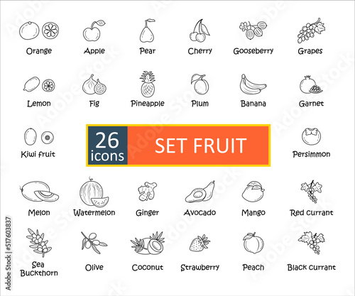 Fruit icons set with names. Simple concise images of fruits with names. Collection of icons in outlines. Watermelon, strawberry, cocoa, mango, pomegranate, avocado, kiwi and others. Vector, eps