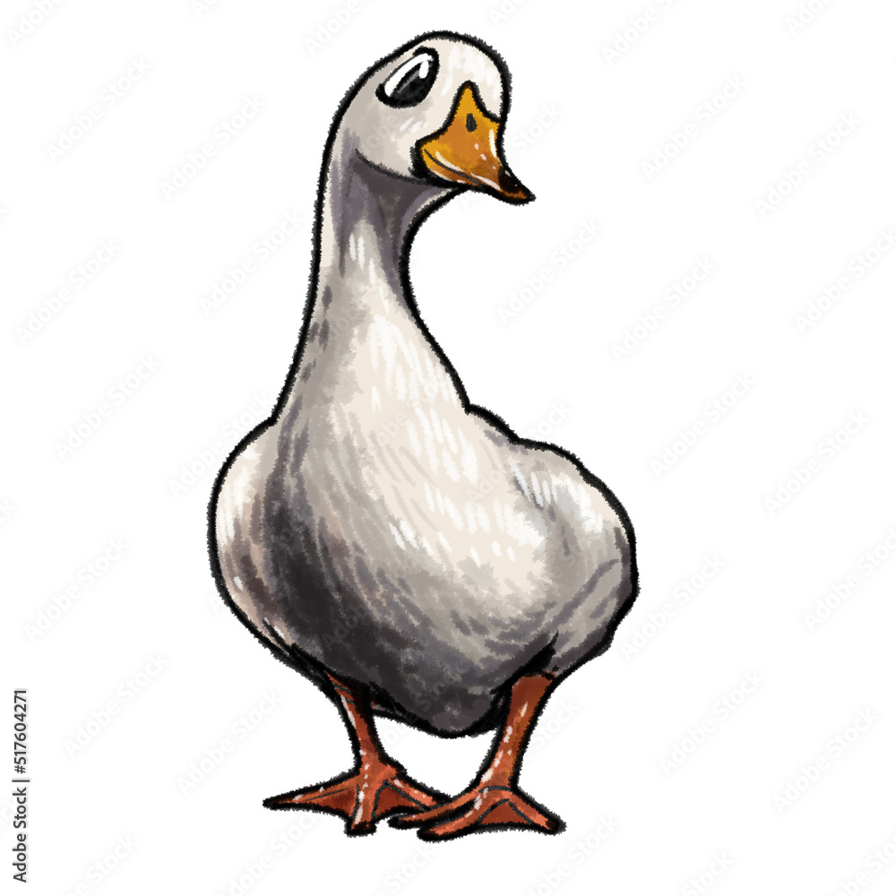 goose isolated on white goose isolated on white
