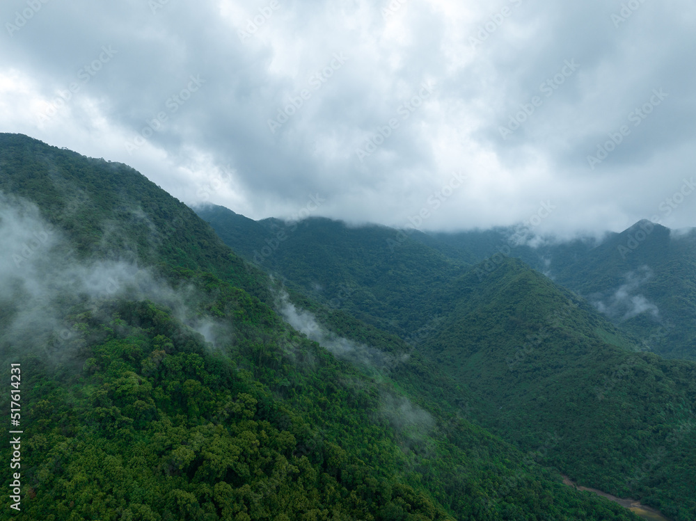 Obraz premium Aerial view of beautiful forest mountain landscape