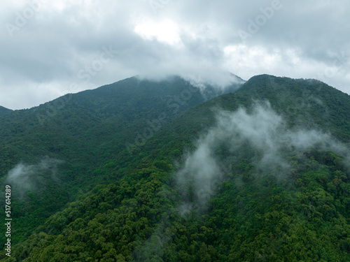 Aerial view of beautiful forest mountain landscape