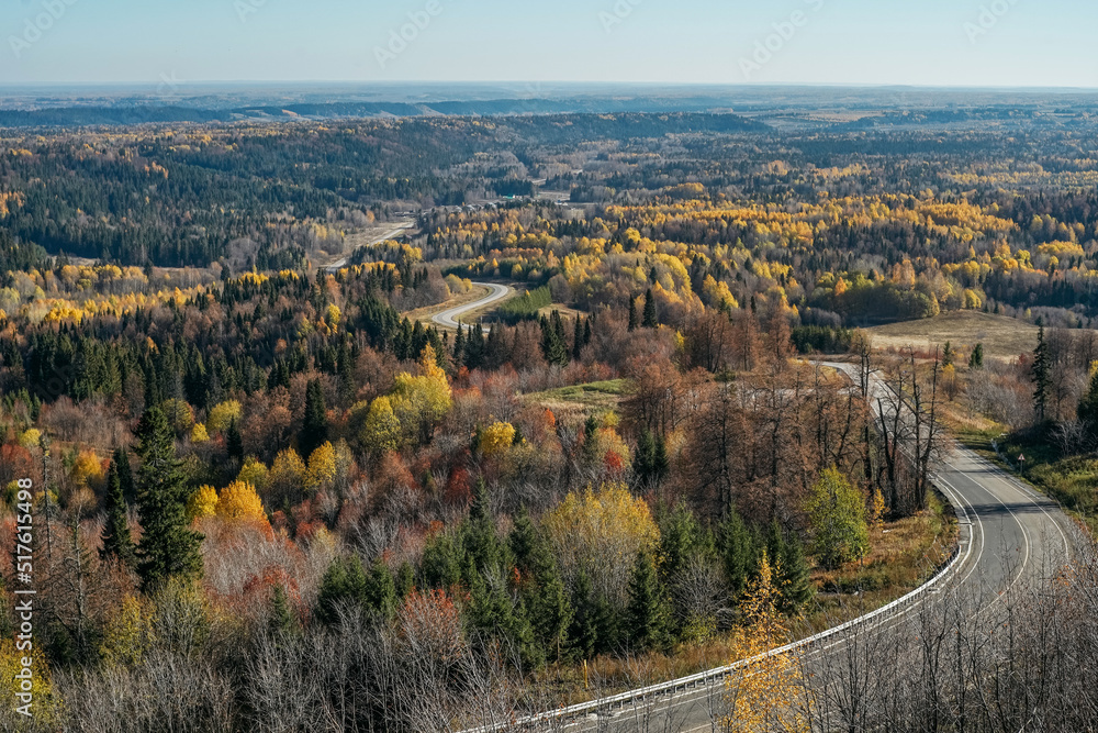 Aerial view of road, colorful forest in autumn.